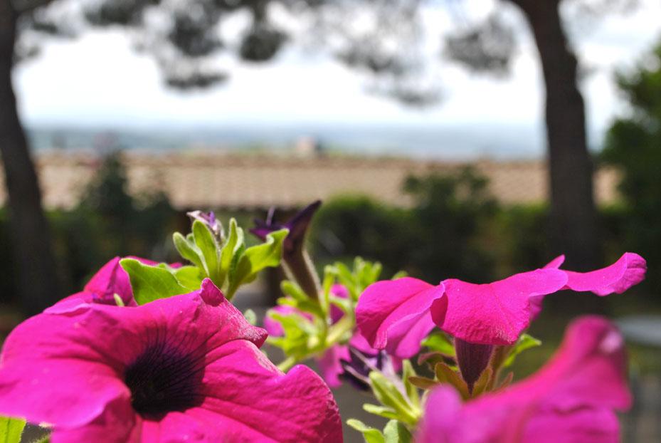 Hotel Villa San Giorgio Poggibonsi Εξωτερικό φωτογραφία